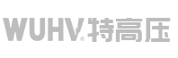 武漢特高壓電力科技有限公司